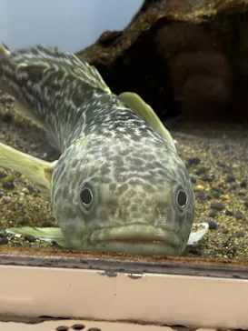 葛西臨海水族園に投稿された画像（2026/4/24）