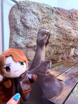 仙台うみの杜水族館に投稿された画像（2026/4/24）