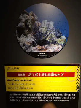特別展「超危険生物展　科学で挑む生き物の本気」に投稿された画像（2026/4/24）