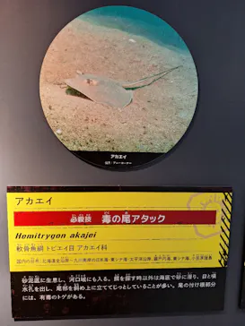 特別展「超危険生物展　科学で挑む生き物の本気」に投稿された画像（2026/4/24）