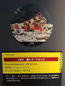 特別展「超危険生物展　科学で挑む生き物の本気」に投稿された画像（2026/4/24）