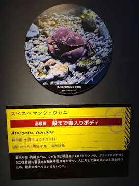 特別展「超危険生物展　科学で挑む生き物の本気」に投稿された画像（2026/4/24）