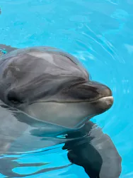 マリンワールド海の中道に投稿された画像（2026/4/24）