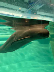 マリンワールド海の中道に投稿された画像（2026/4/24）