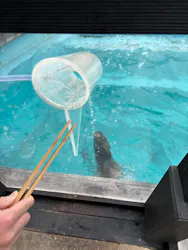 マリンワールド海の中道に投稿された画像（2026/4/24）