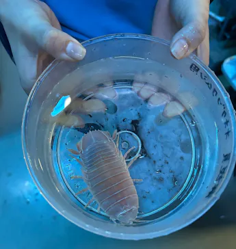 沖縄美ら海水族館（館内体験）に投稿された画像（2026/4/24）
