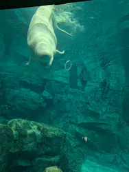 名古屋港水族館に投稿された画像（2026/4/24）