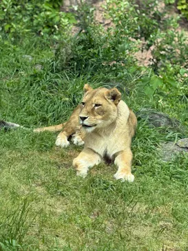 名古屋市東山動植物園に投稿された画像（2026/4/24）