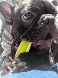 カワスイ 川崎⽔族館に投稿された画像（2026/4/24）