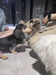 カワスイ 川崎⽔族館に投稿された画像（2026/4/24）