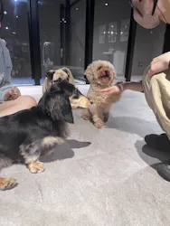 カワスイ 川崎⽔族館に投稿された画像（2026/4/24）