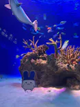 新江ノ島水族館に投稿された画像（2026/4/24）