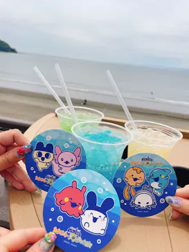 新江ノ島水族館に投稿された画像（2026/4/24）