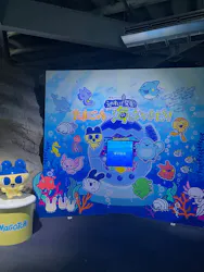 新江ノ島水族館に投稿された画像（2026/4/24）