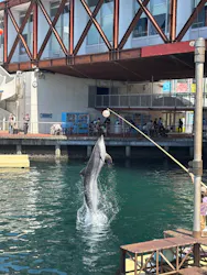 伊豆・三津シーパラダイスに投稿された画像（2026/4/24）