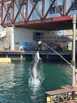 伊豆・三津シーパラダイスに投稿された画像（2026/4/24）