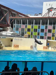 伊豆・三津シーパラダイスに投稿された画像（2026/4/24）
