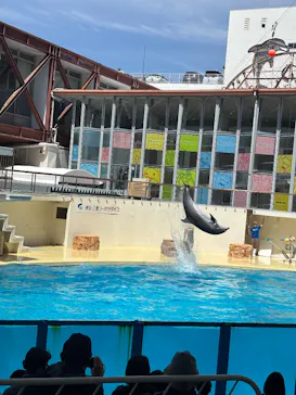 伊豆・三津シーパラダイスに投稿された画像（2026/4/24）