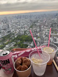 ハルカス300(展望台)に投稿された画像（2026/4/24）