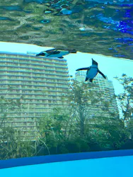 サンシャイン水族館に投稿された画像（2026/4/24）