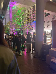 ハルカス300(展望台)に投稿された画像（2026/4/24）