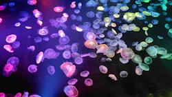 すみだ水族館に投稿された画像（2026/4/24）