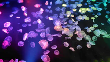 すみだ水族館に投稿された画像（2026/4/24）