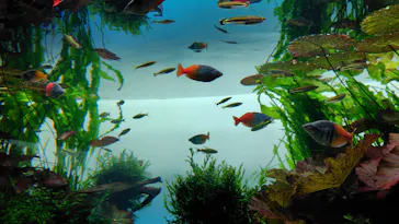 すみだ水族館に投稿された画像（2026/4/24）