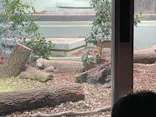 名古屋市東山動植物園に投稿された画像（2026/4/25）