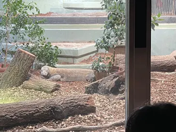 名古屋市東山動植物園に投稿された画像（2026/4/24）