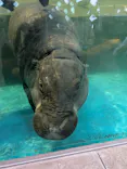 NIFREL（ニフレル）に投稿された画像（2026/4/25）