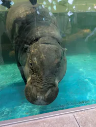 NIFREL（ニフレル）に投稿された画像（2026/4/24）