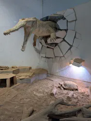 NIFREL（ニフレル）に投稿された画像（2026/4/24）