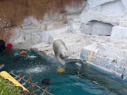 天王寺動物園に投稿された画像（2026/4/24）