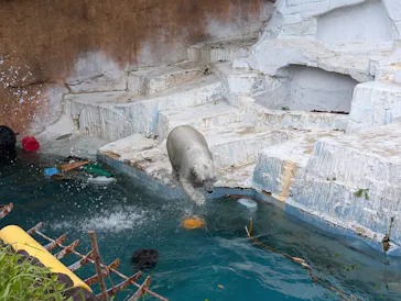 天王寺動物園に投稿された画像（2026/4/24）