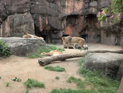 天王寺動物園に投稿された画像（2026/4/24）