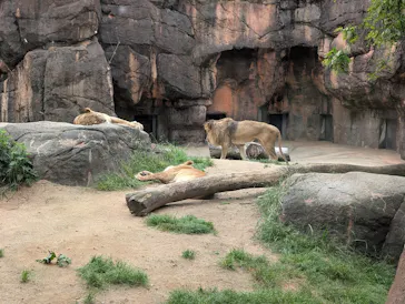 天王寺動物園に投稿された画像（2026/4/24）