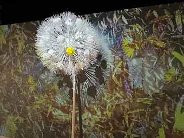 NAKED meets ガウディ展【大阪】に投稿された画像（2026/4/25）
