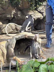 サンシャイン水族館に投稿された画像（2026/4/25）