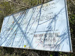 成田の命泉　大和の湯に投稿された画像（2026/4/25）