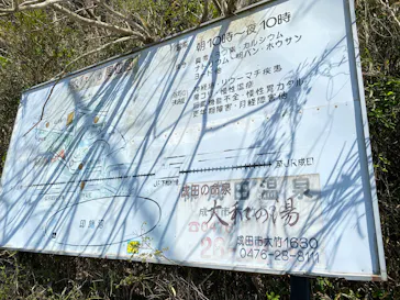 成田の命泉　大和の湯に投稿された画像（2026/4/25）