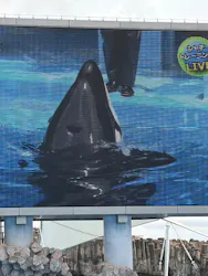 名古屋港水族館に投稿された画像（2026/4/25）