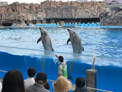 名古屋港水族館に投稿された画像（2026/4/25）