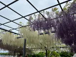 万博記念公園に投稿された画像（2026/4/25）