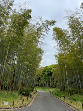 万博記念公園に投稿された画像（2026/4/25）