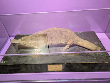 特別展「超危険生物展　科学で挑む生き物の本気」に投稿された画像（2026/4/25）