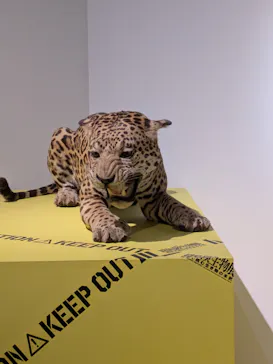 特別展「超危険生物展　科学で挑む生き物の本気」に投稿された画像（2026/4/25）