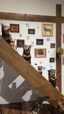 はしもとみお木彫展 いきものたちとの旅（氷見市芸術文化館）に投稿された画像（2026/4/25）
