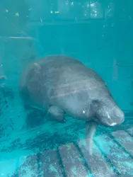 熱川バナナワニ園に投稿された画像（2026/4/25）