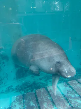 熱川バナナワニ園に投稿された画像（2026/4/25）